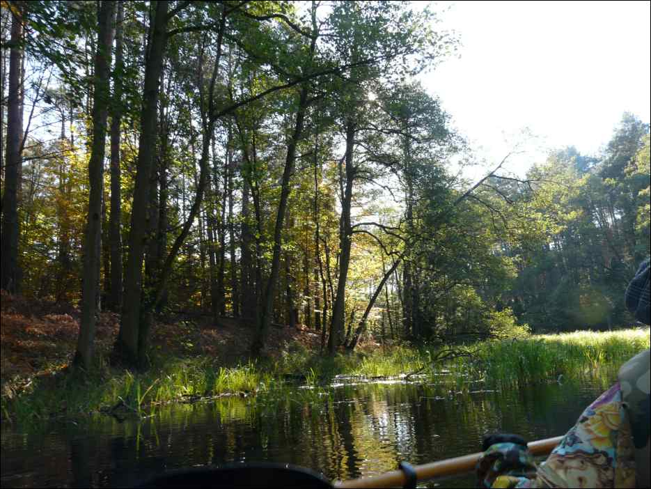 P1140391
