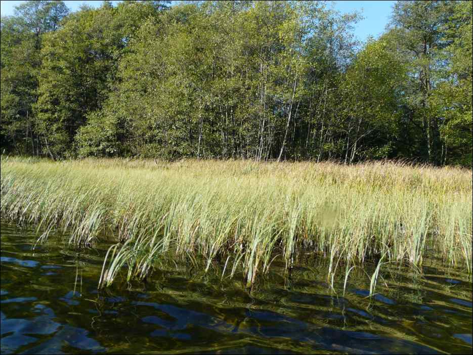 P1080769