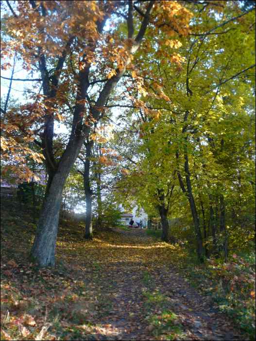 P1100787