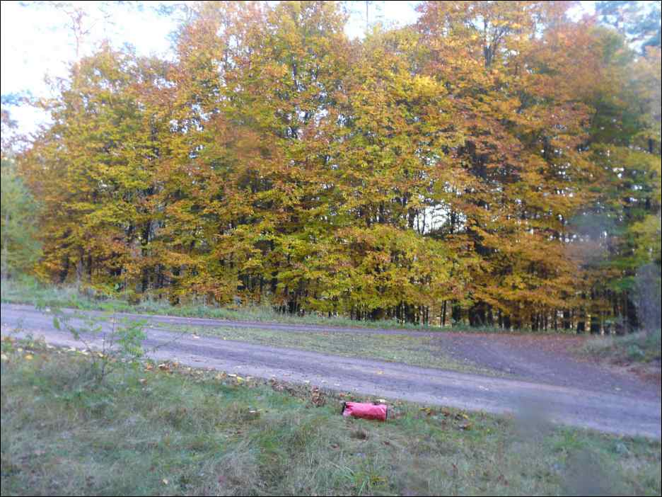 P1100791