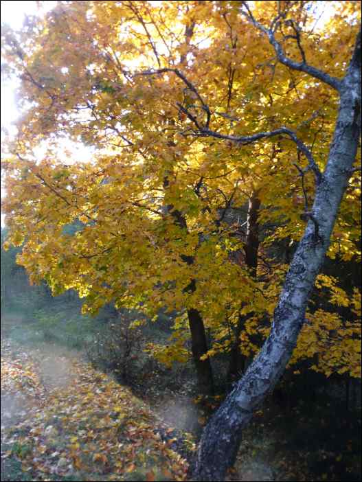P1100792