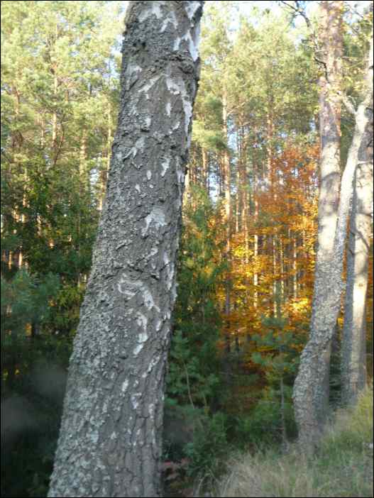 P1100793