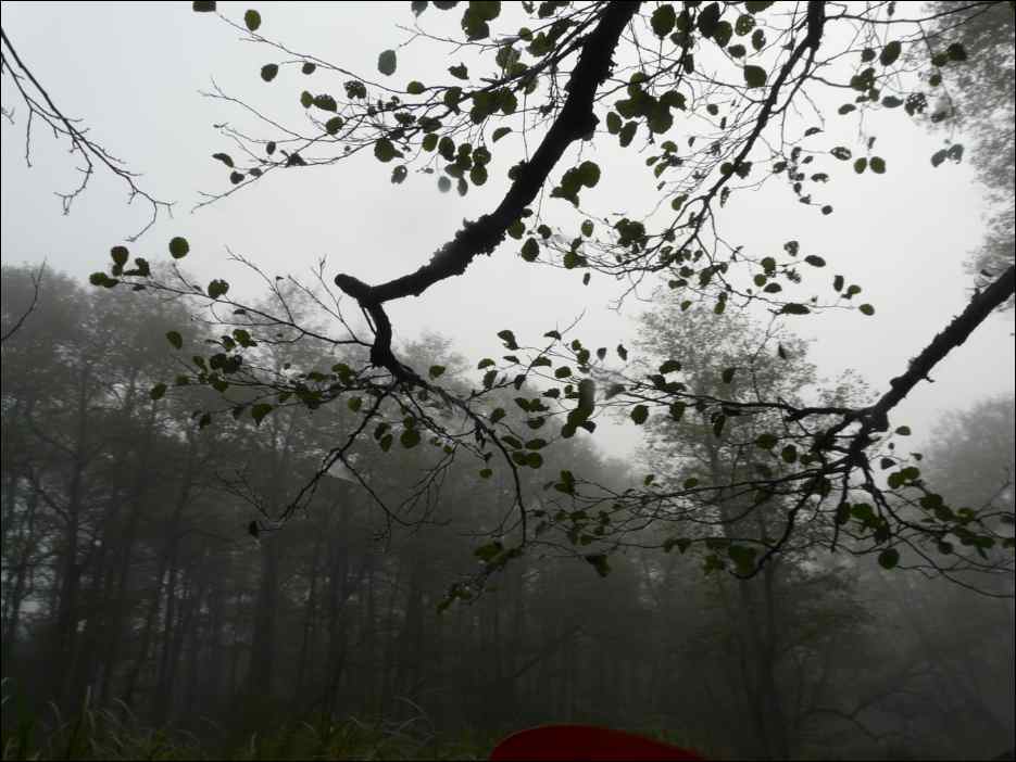 P1100806
