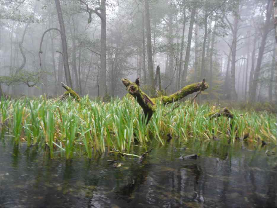 P1100821