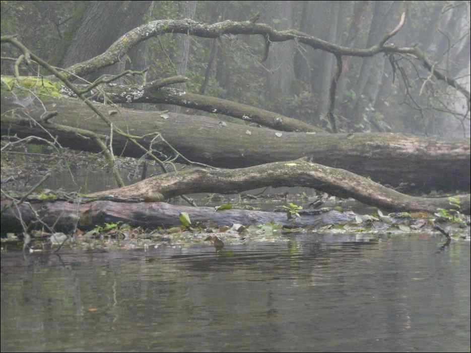 P1100838