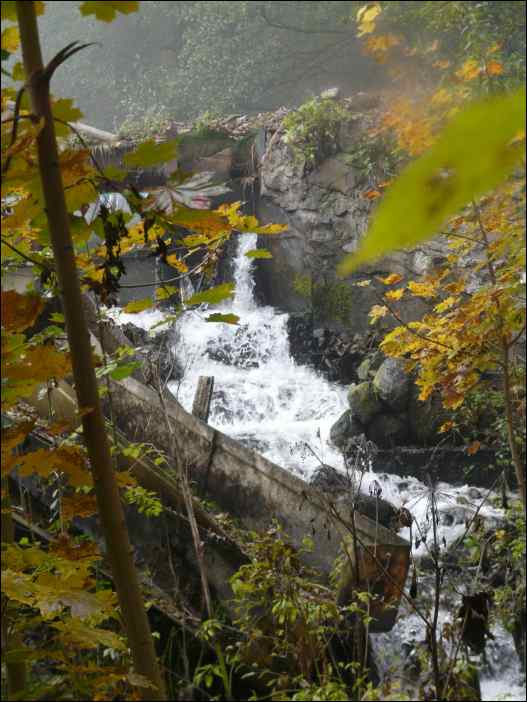 P1100846