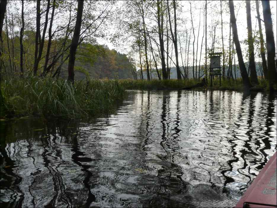 P1130937