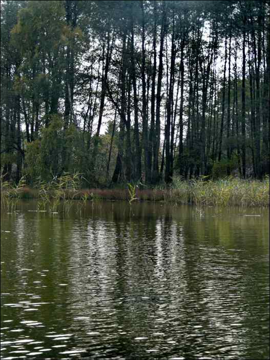 P1130946