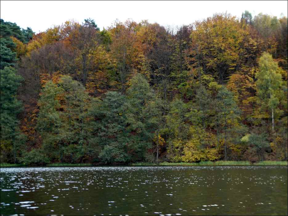 P1130953