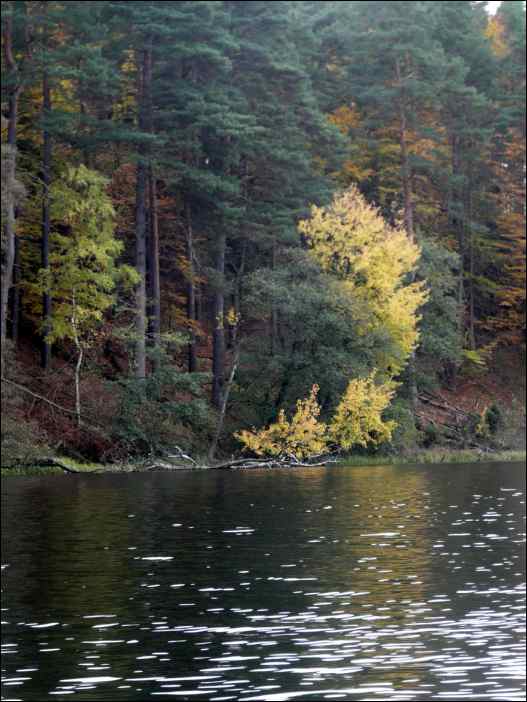 P1130955