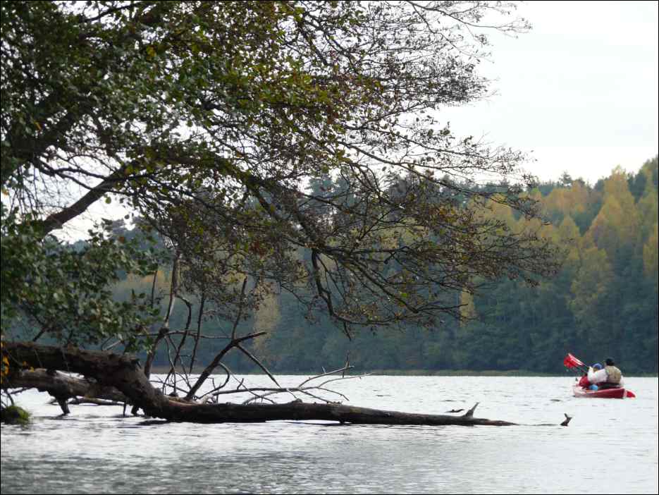 P1130956