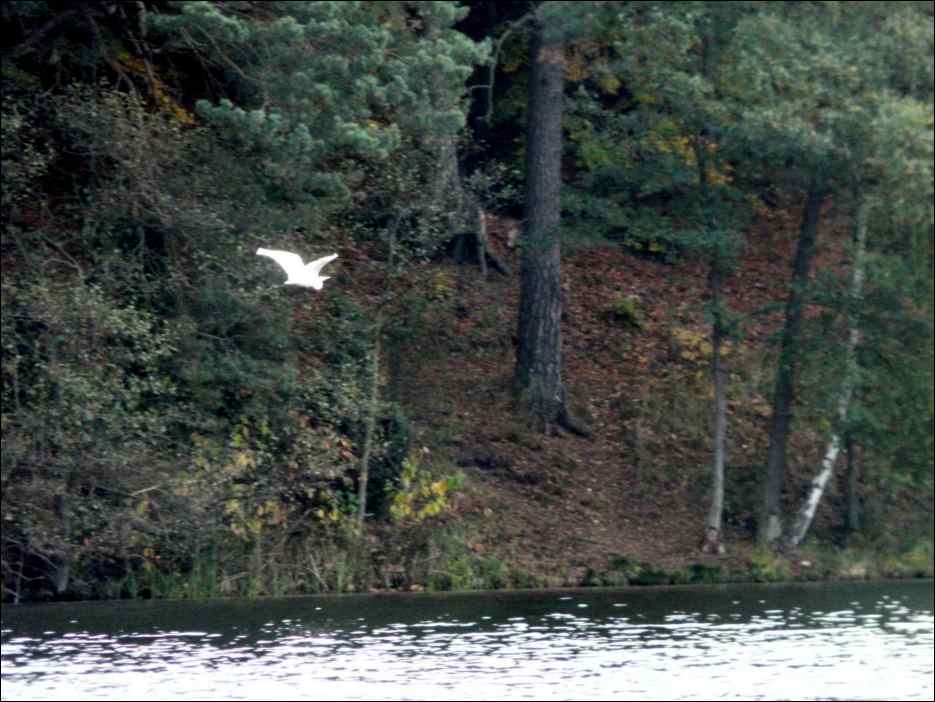 P1130965