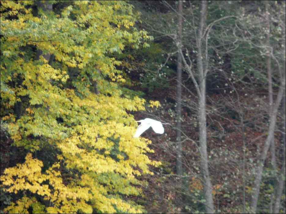 P1130970