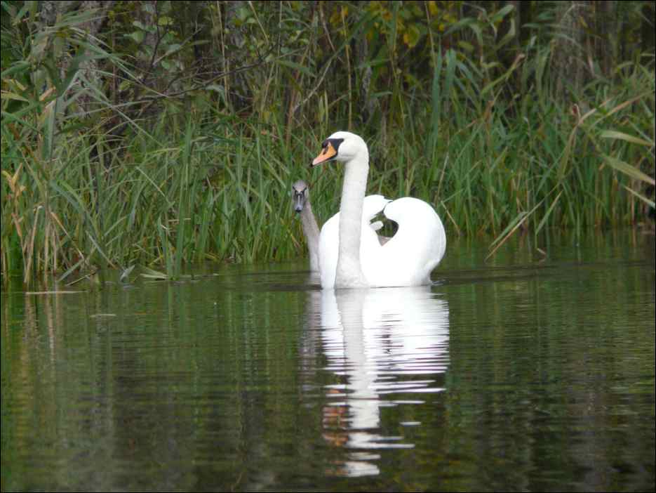 P1130997