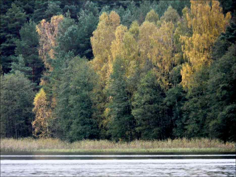 P1140039