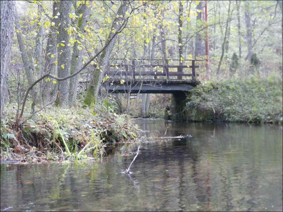 P1140043