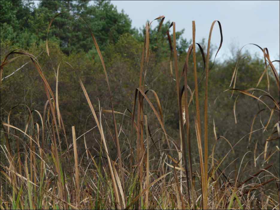 P1140046