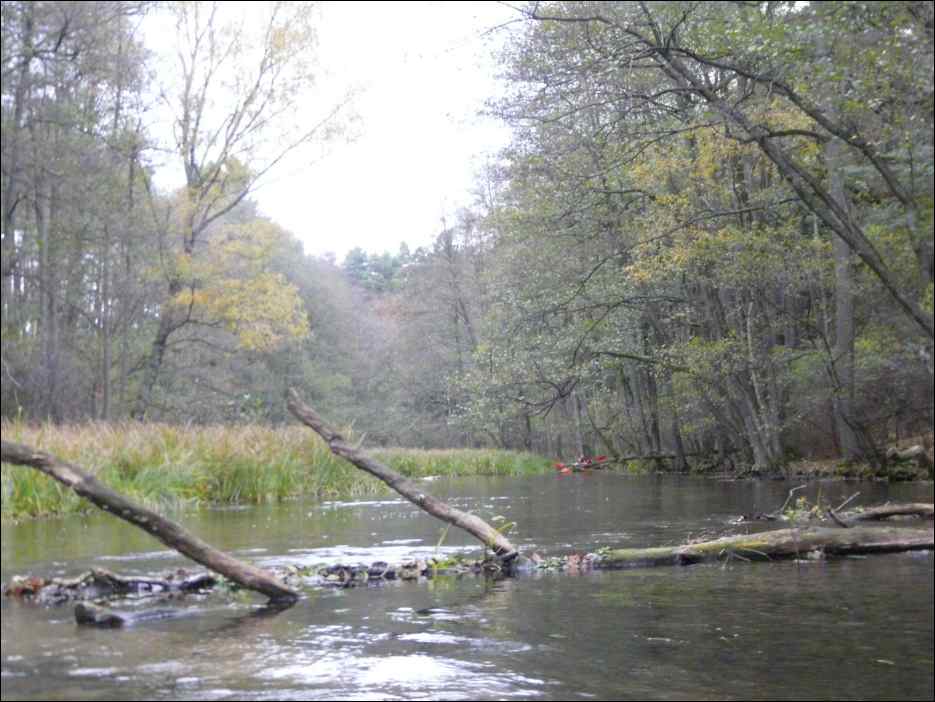 P1140061