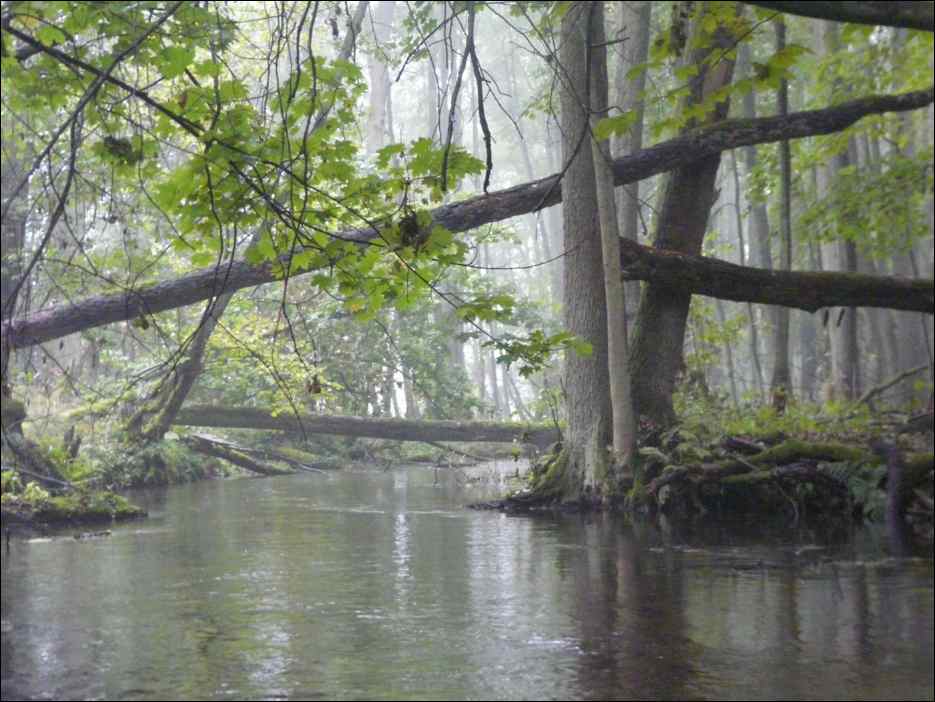 P1190113