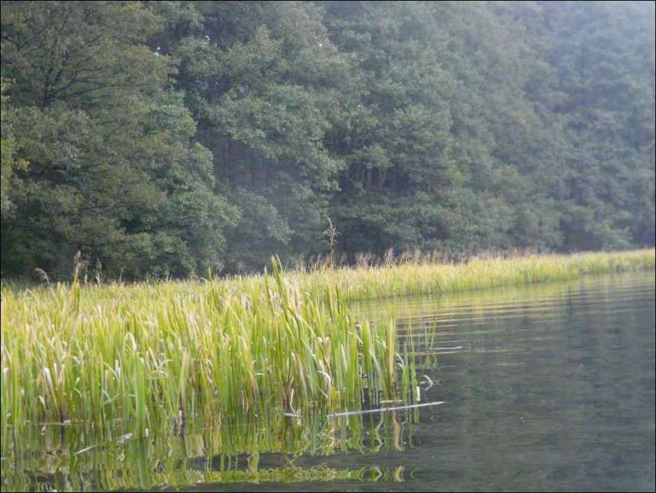 P1190132