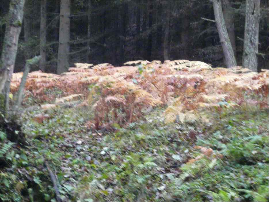 P1190139