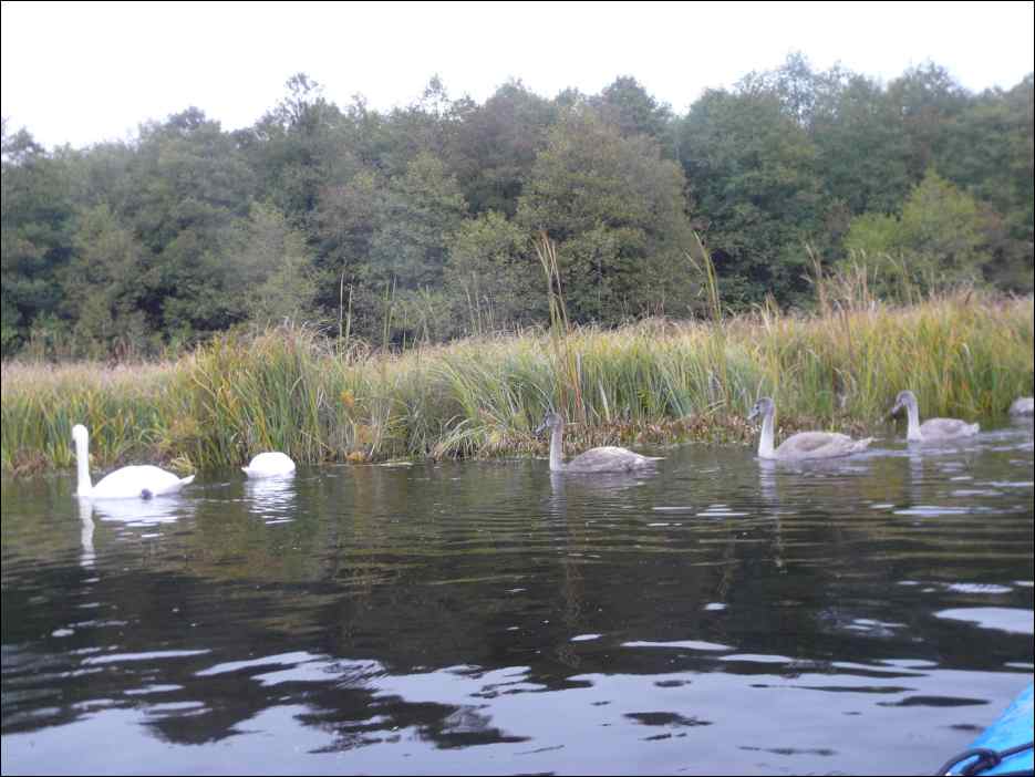 P1190149