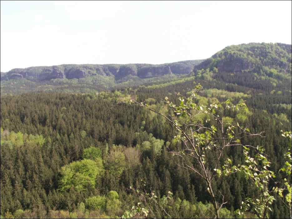 PICT0069