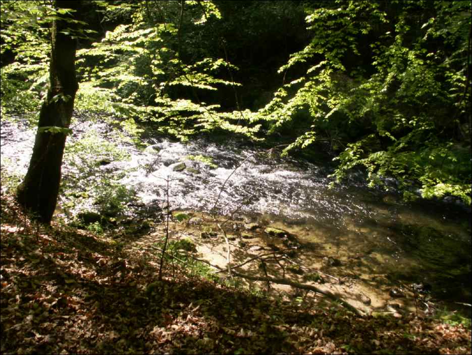 PICT0005