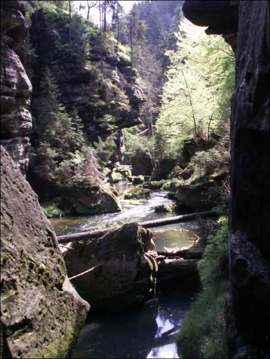 PICT0039