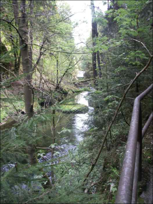 PICT0041
