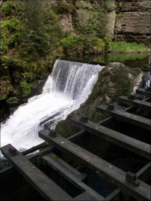 PICT0042