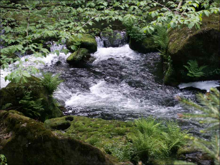 PICT0054