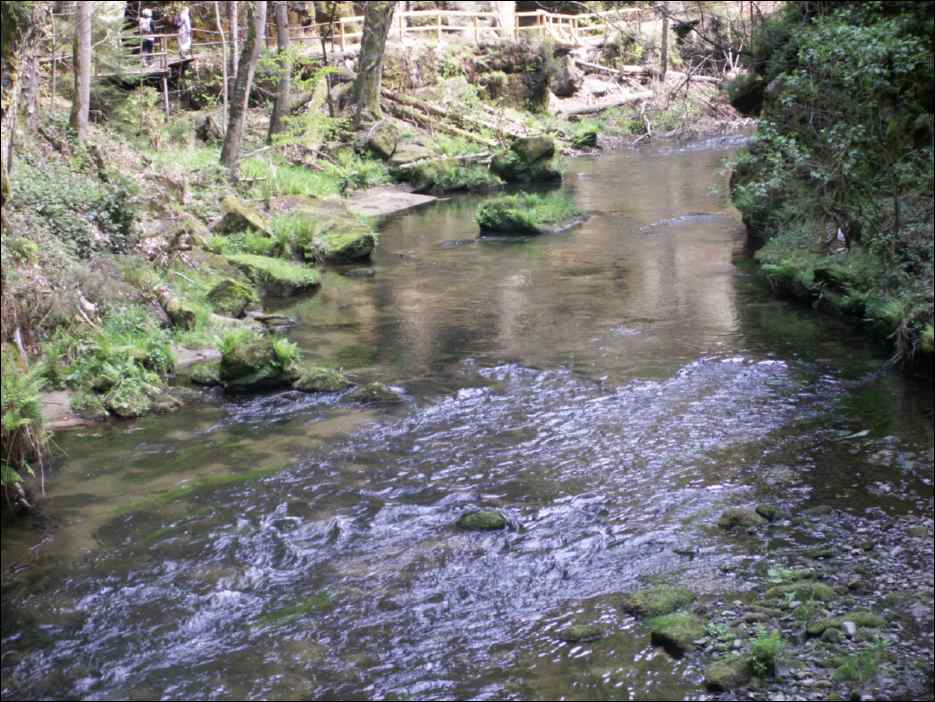 PICT0058
