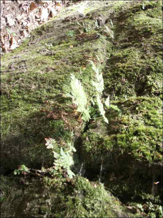 PICT0059