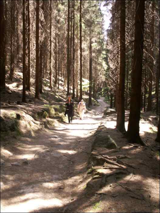 PICT0060