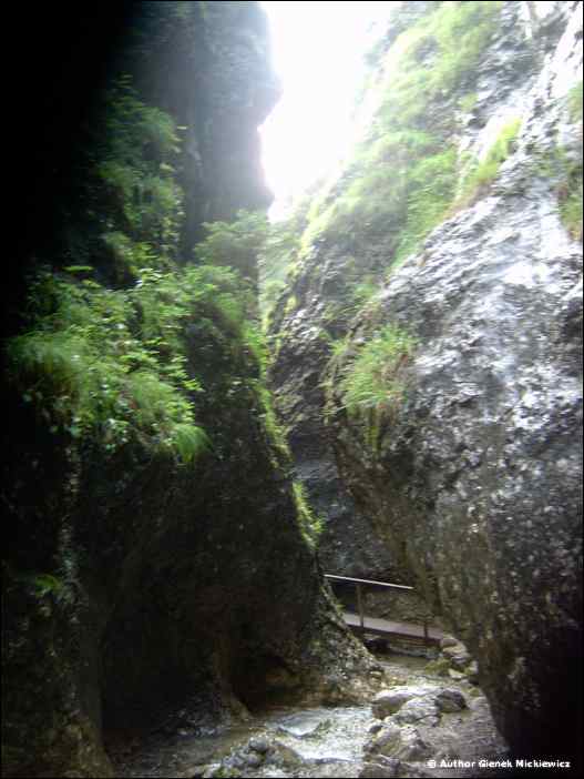 im002078