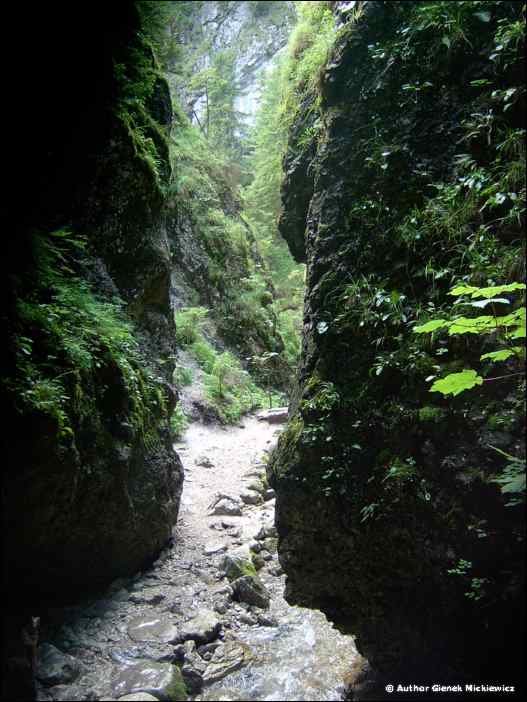 im002080