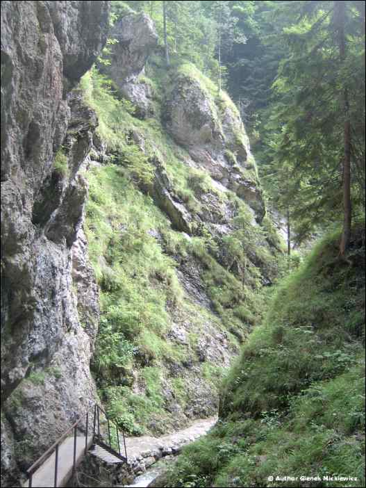 im002091