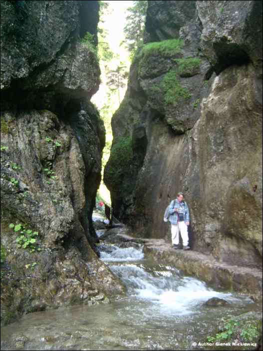 im002096