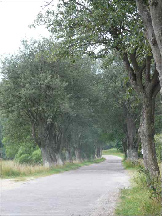P1070840