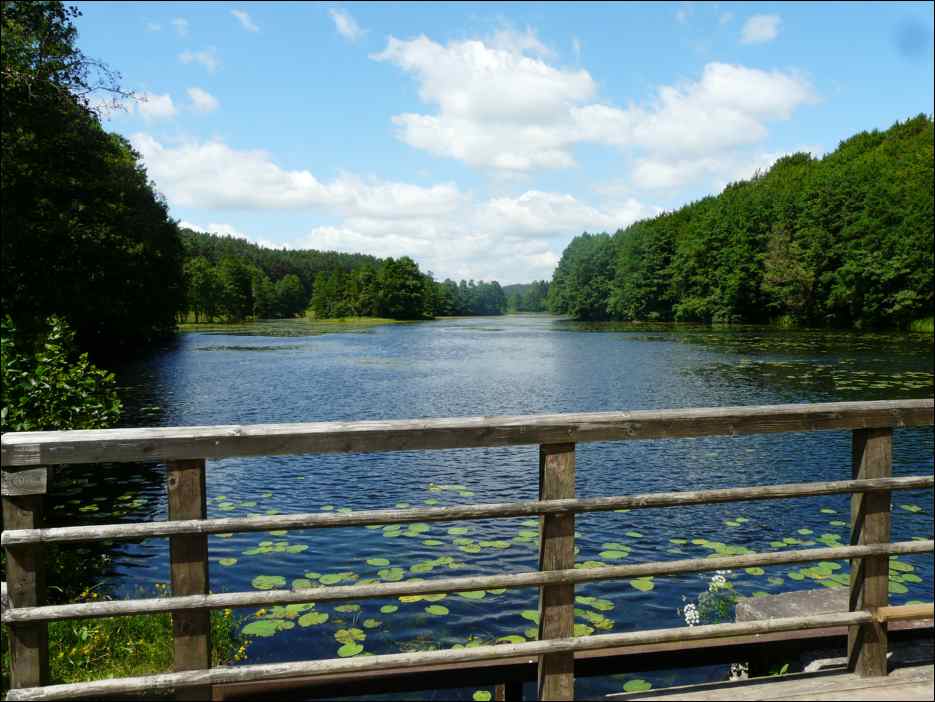 P1070871