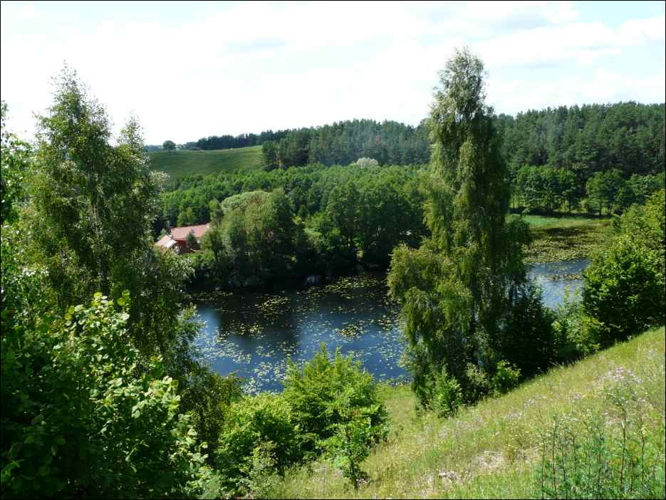 P1070878