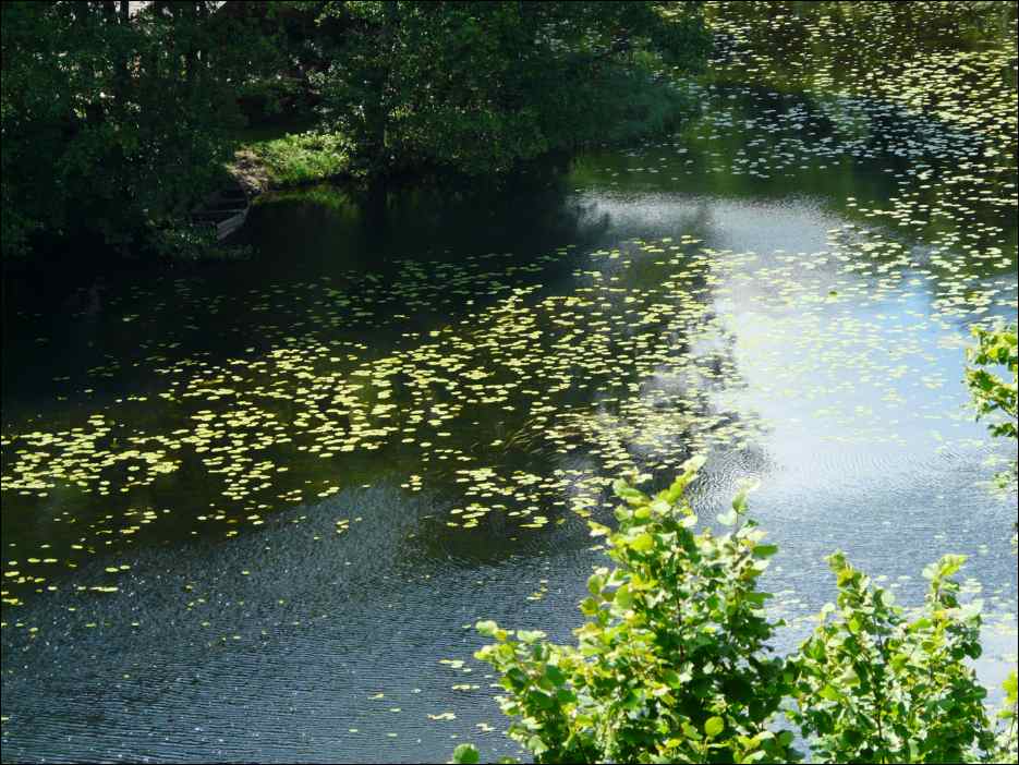 P1070885
