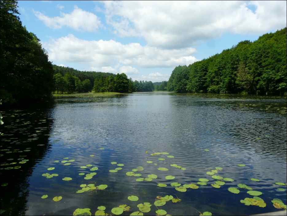 P1070890