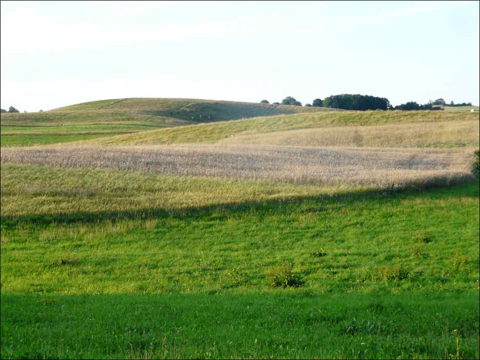 P1070904