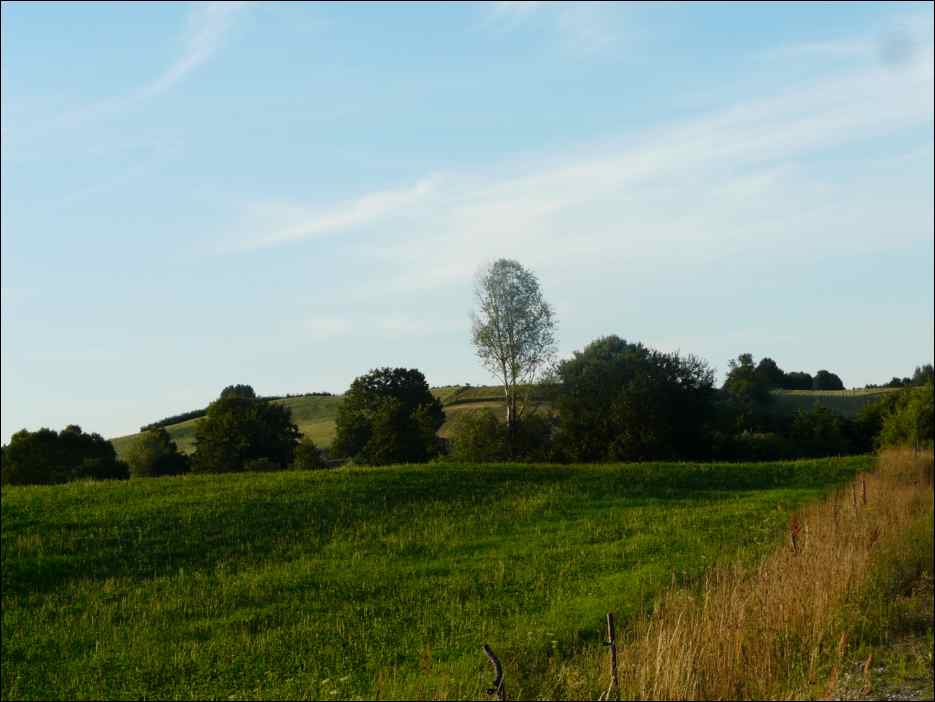 P1070908