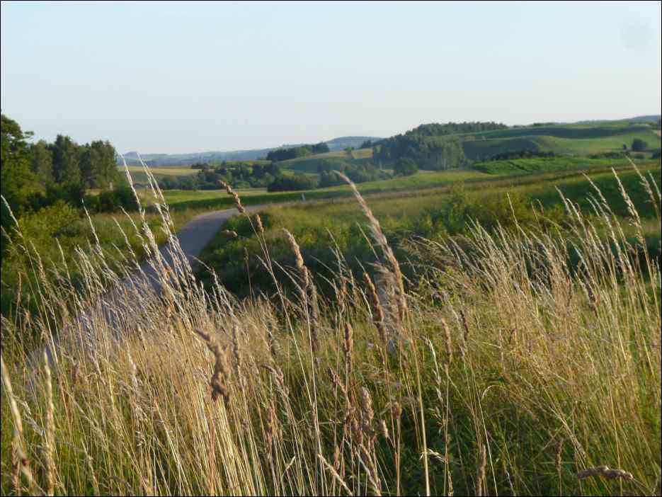 P1070909