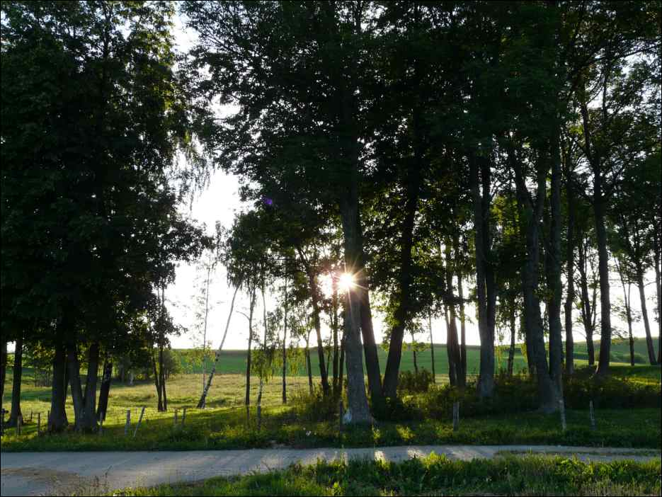P1070913