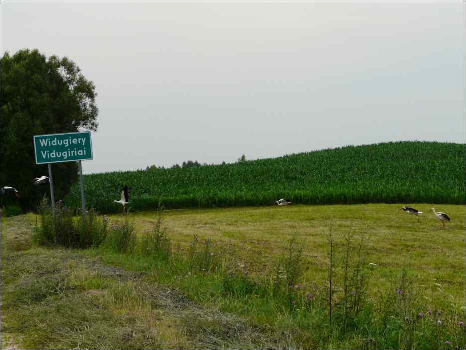 P1080018