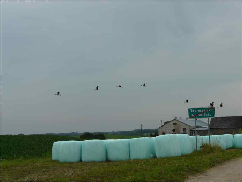 P1080019